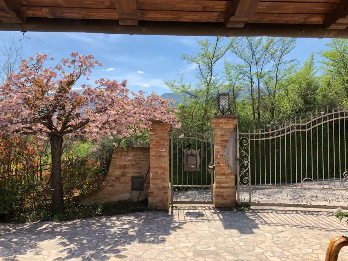Luci Sui Monti Bed and Breakfast Sarnano Exteriör bild