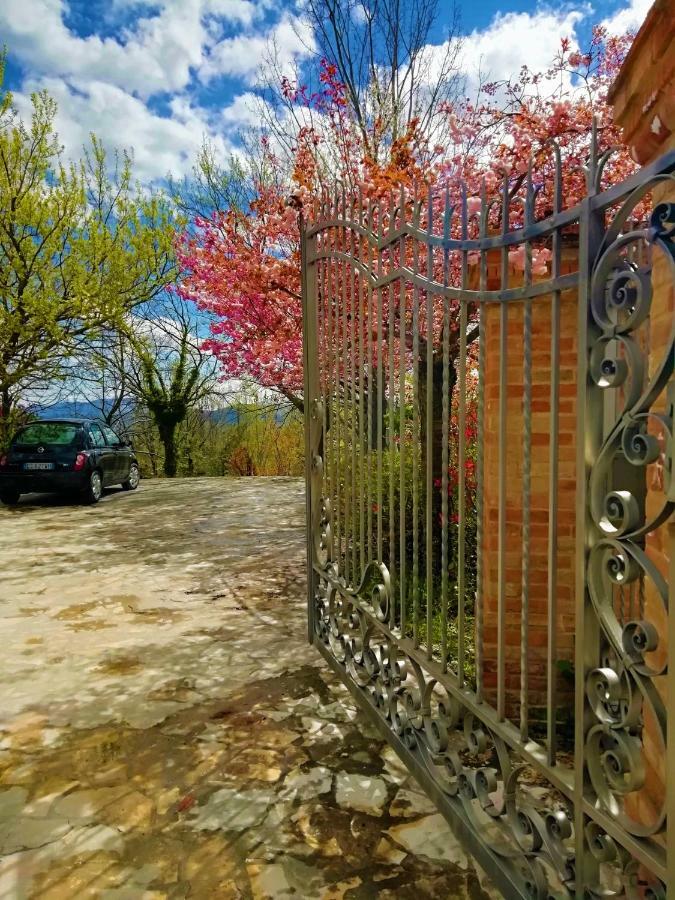 Luci Sui Monti Bed and Breakfast Sarnano Exteriör bild